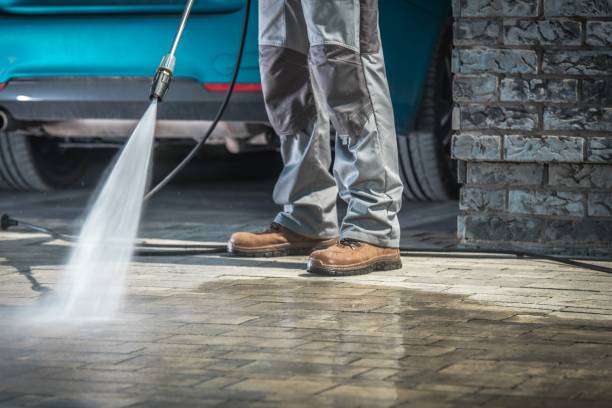 Best Gutter Cleaning  in Frankfort, IL
