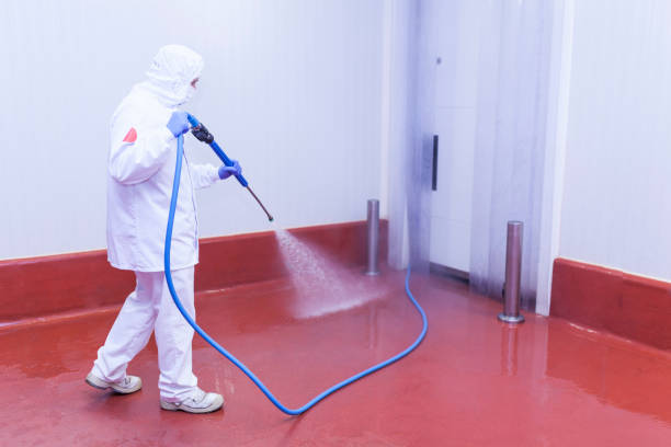 Best Dumpster Area Cleaning  in Frankfort, IL