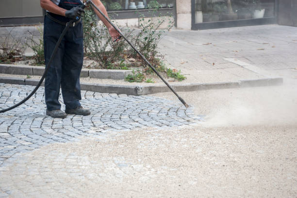 Best Animal Enclosure Cleaning  in Frankfort, IL