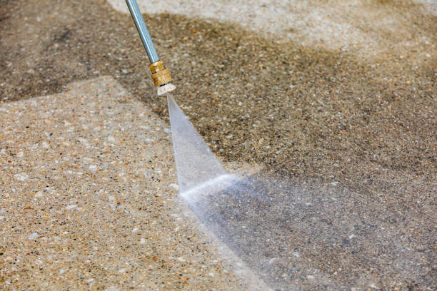 Best Driveway Pressure Washing  in Frankfort, IL