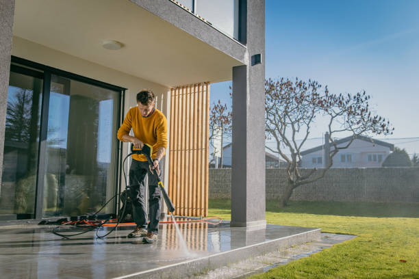 Best Fence Cleaning  in Frankfort, IL